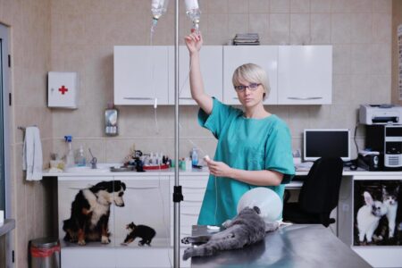 ANIMAL CARE AND VETENARIANS